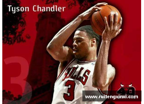 NBA芝加哥公牛队员：阵容、表现与未来展望