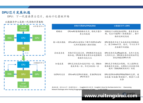 聚焦球员成就与未来展望的深度分析报告