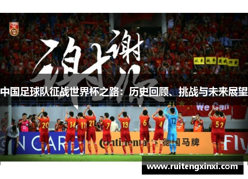 中国足球队征战世界杯之路：历史回顾、挑战与未来展望