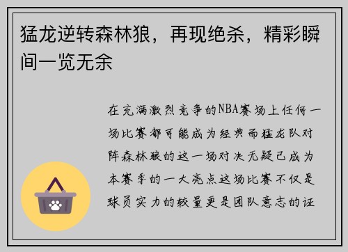 猛龙逆转森林狼，再现绝杀，精彩瞬间一览无余